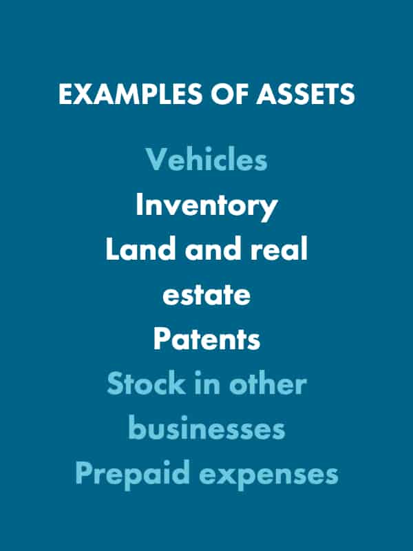 assets_balance sheet for therapists